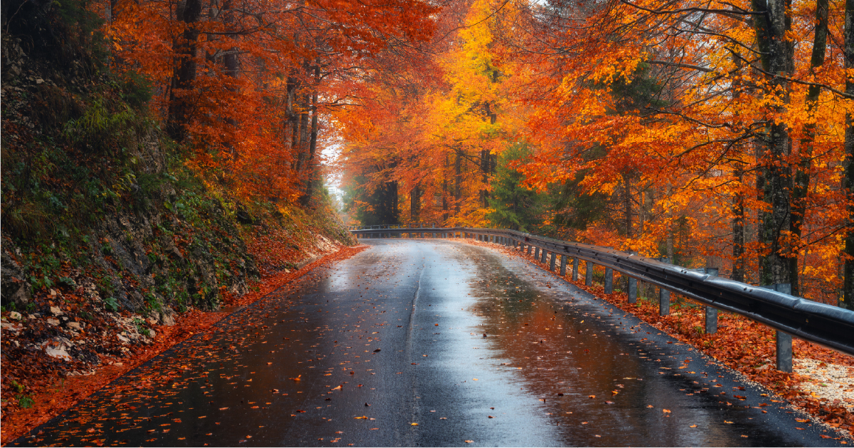 Autumn Opengraphlp 1200X630