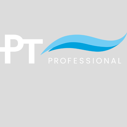 PT Professional